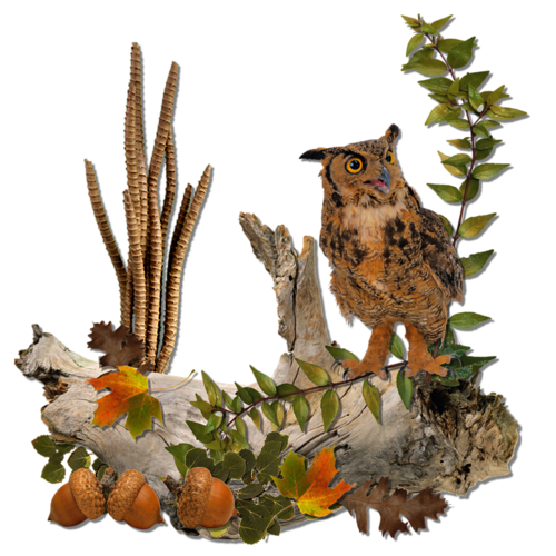 őszi állatok_42.png